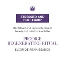 Medavita Prodige Professsional Hair Detoxifying Mud