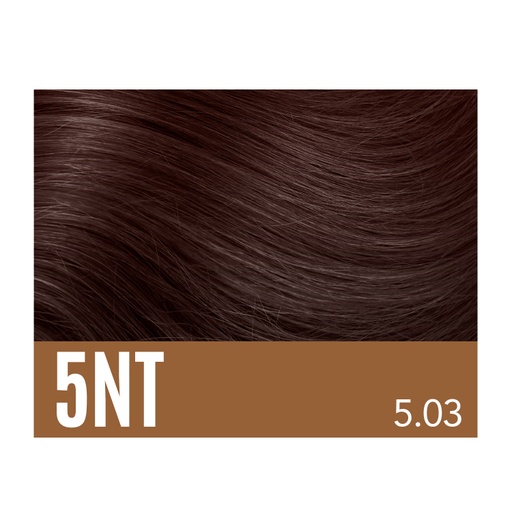 [AD05NT] Aloxxi Andiamo 5NT