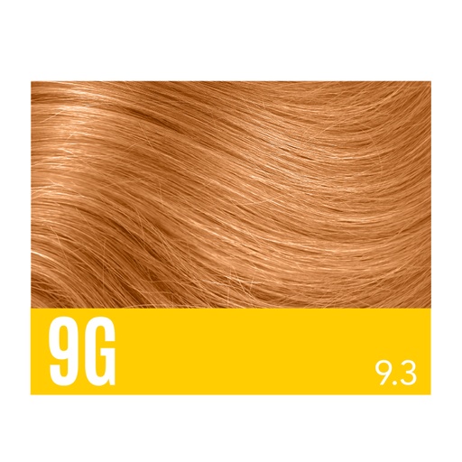 [AD09G] Aloxxi Andiamo 9G