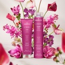 Medavita Luxviva Post Color Shimmer Fluid