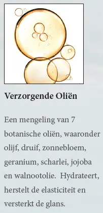olie.webp
