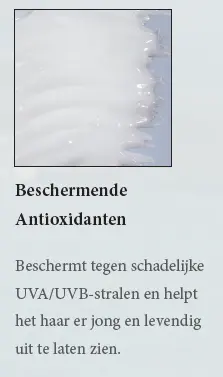antioxidanten.webp