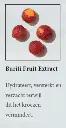 buriti.webp