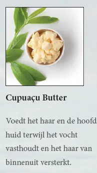 cupuacu.webp